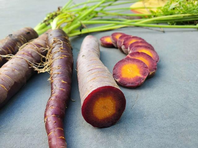 Among the vegetables stocked in the Irondequoit seed library is cosmic purple carrots, which is an heirloom variety. - AJ'S PHOTO ART / ADOBE STOCK