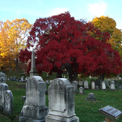 Travelogue: In Our Home Ground: Journeys to Authors' Graves in Upstate NY